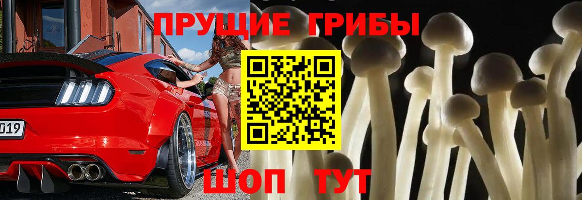 Псилоцибиновые грибы мухоморы Азнакаево